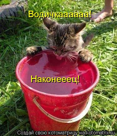 Водичкаааааа! Наконееец!... Котоматрица: Водичкаааааа! Наконееец!