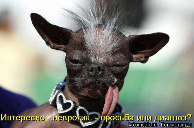 Котоматрица: Интересно, “невротик” - просьба или диагноз?