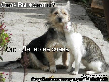 Она: - Вы женаты? - Да, но не очень. Он:... Котоматрица: Она: - Вы женаты? - Да, но не очень. Он: