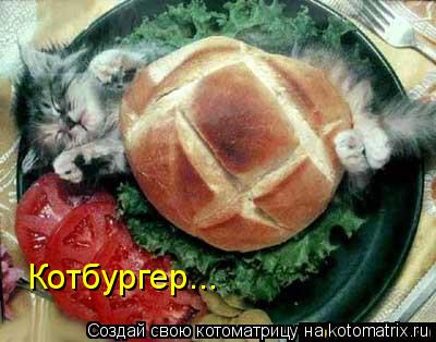 Котбургер...... Котоматрица: Котбургер...