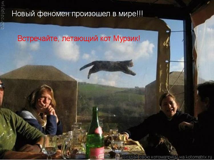 Новый феномен произошел в мире!!! Встречайте, летающий кот Мурзик!... Котоматрица: Новый феномен произошел в мире!!! Встречайте, летающий кот Мурзик!