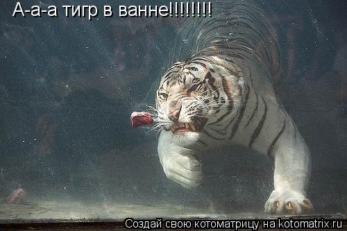 А-а-а тигр в ванне!!!!!!!!... Котоматрица: А-а-а тигр в ванне!!!!!!!!