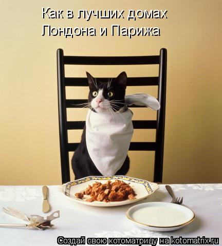 Котоматрица: Как в лучших домах  Лондона и Парижа