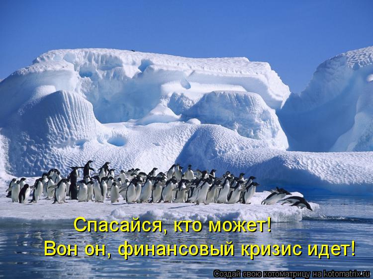 Котоматрица: Спасайся, кто может!  Вон он, финансовый кризис идет!