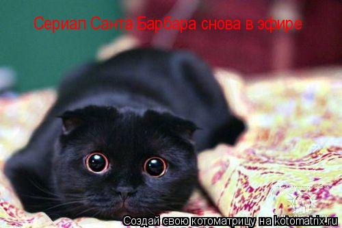 Сериал Санта Барбара снова в эфире... Котоматрица: Сериал Санта Барбара снова в эфире