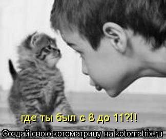 Котоматрица: где ты был с 8 до 11?!!