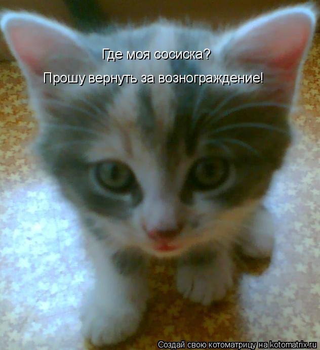 Где моя сосиска? Прошу вернуть за вознограждение!... Котоматрица: Где моя сосиска? Прошу вернуть за вознограждение!