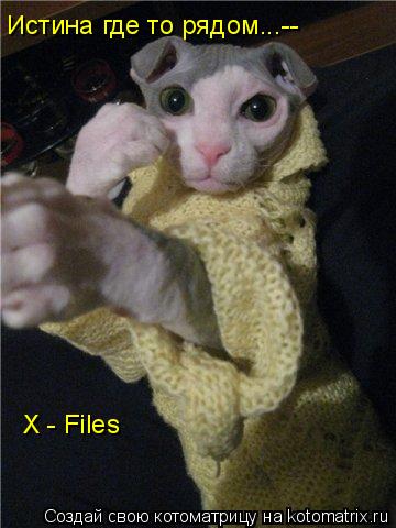 X - Files Истина где то рядом...--... Котоматрица: X - Files Истина где то рядом...--