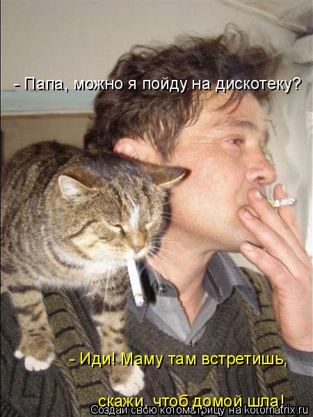 Котоматрица: - Папа, можно я пойду на дискотеку? - Иди! Маму там встретишь, скажи, чтоб домой шла!