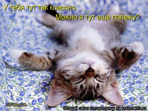 Котоматрица: У тебя тут так классно... Можно я тут ещё полежу?