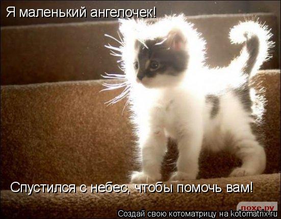 Котоматрица: Я маленький ангелочек! Спустился с небес, чтобы помочь вам!