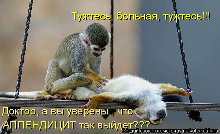 Тужтесь, больная, тужтесь!!! Доктор, а вы уверены , что АППЕНДИЦИТ так выйдет???... Котоматрица: Тужтесь, больная, тужтесь!!! Доктор, а вы уверены , что АППЕНДИЦИТ так выйдет???