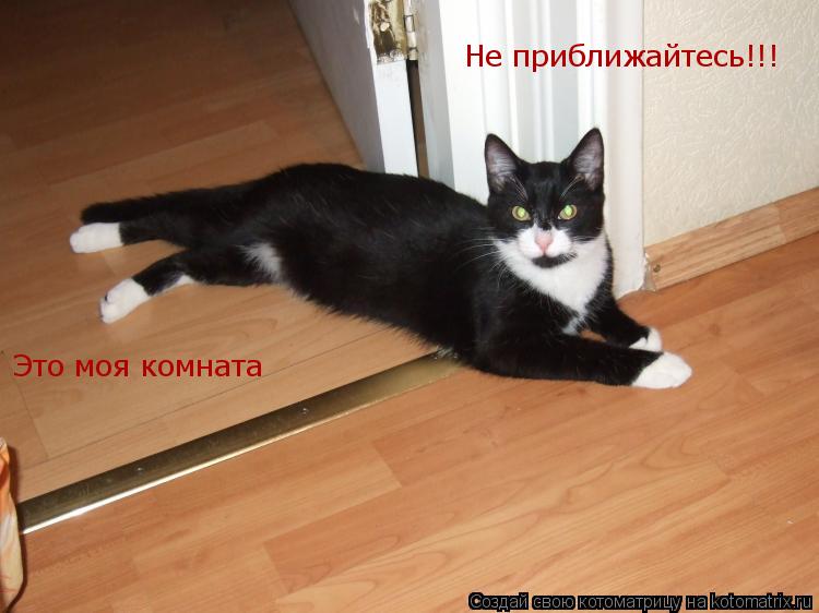 Не приближайтесь!!! Это моя комната... Котоматрица: Не приближайтесь!!! Это моя комната