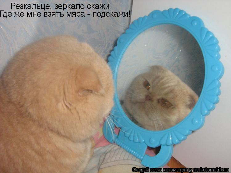 Стих да я такая спору нет Стих да я такая спору нет