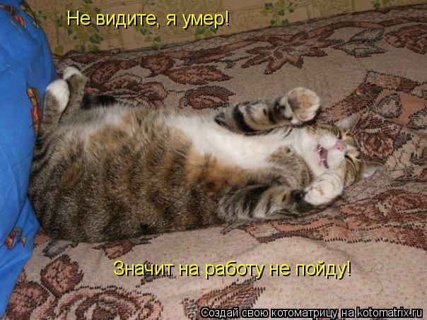 Котоматрица: Не видите, я умер! Значит на работу не пойду!