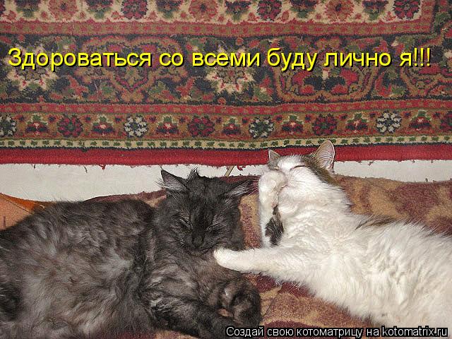 Здороваться со всеми буду лично я!!!... Котоматрица: Здороваться со всеми буду лично я!!!