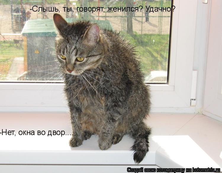 Котоматрица: -Слышь, ты, говорят, женился? Удачно? -Нет, окна во двор....
