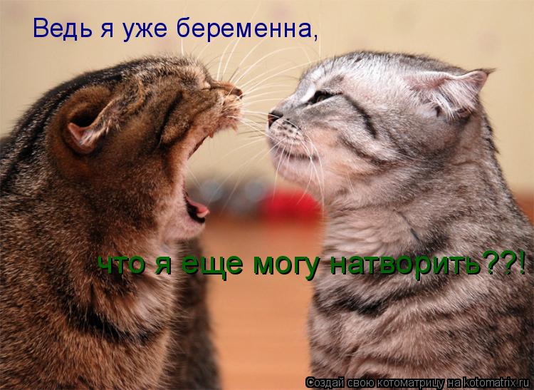 Ведь я уже беременна, что я еще могу натворить??!... Котоматрица: Ведь я уже беременна, что я еще могу натворить??!