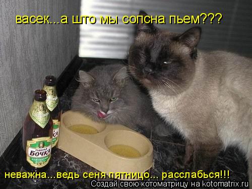 васек...а што мы сопсна пьем??? неважна...ведь сеня пятницо... расслабься!!!... Котоматрица: васек...а што мы сопсна пьем??? неважна...ведь сеня пятницо... расслабься!!!