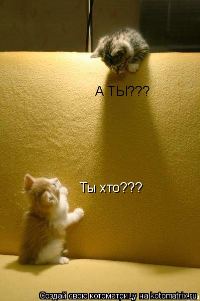 Ты хто??? А ТЫ???... Котоматрица: Ты хто??? А ТЫ???