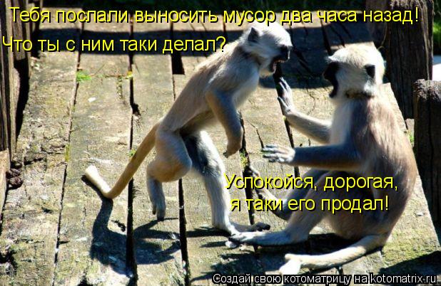 Тебя послали выносить мусор два часа назад! Что ты с ним таки делал? Успокойся, дорогая, я таки его п... Котоматрица: Тебя послали выносить мусор два часа назад! Что ты с ним таки делал? Успокойся, дорогая, я таки его продал!