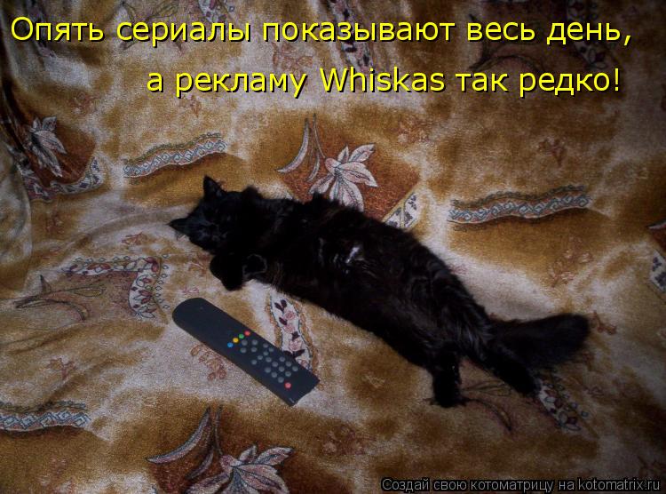 Опять сериалы показывают весь день, а рекламу Whiskas так редко!... Котоматрица: Опять сериалы показывают весь день, а рекламу Whiskas так редко!