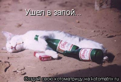 Котоматрица: Ушел в запой...