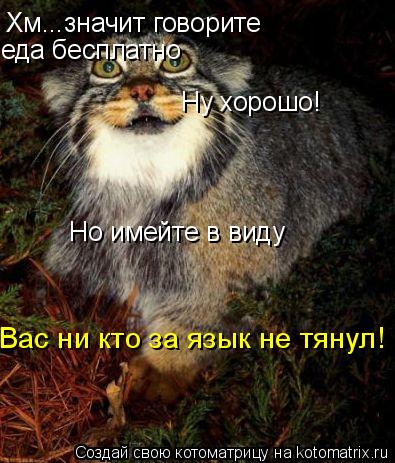 Хм...значит говорите еда бесплатно Ну хорошо! Но имейте в виду Вас ни кто за язык не тянул!... Котоматрица: Хм...значит говорите еда бесплатно Ну хорошо! Но имейте в виду Вас ни кто за язык не тянул!