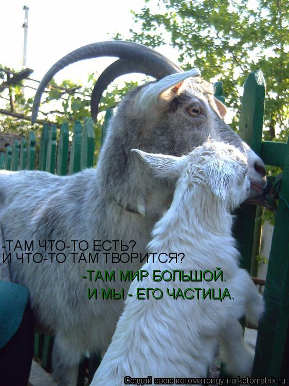 Котоматрица: -ТАМ ЧТО-ТО ЕСТЬ?  И ЧТО-ТО ТАМ ТВОРИТСЯ? -ТАМ МИР БОЛЬШОЙ. И МЫ - ЕГО ЧАСТИЦА.