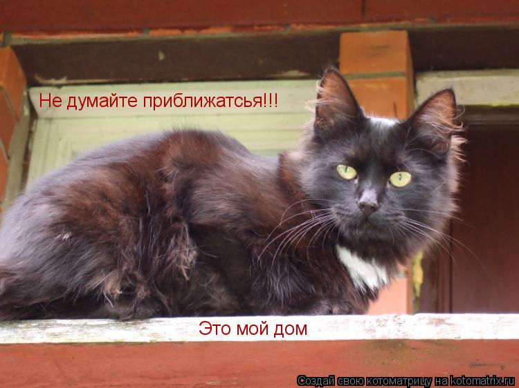 Не думайте приближатсья!!! Это мой дом... Котоматрица: Не думайте приближатсья!!! Это мой дом