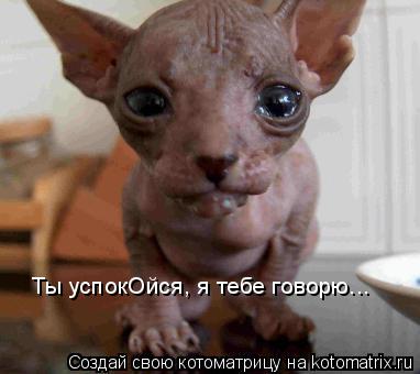 Котоматрица: Ты успокОйся, я тебе говорю...