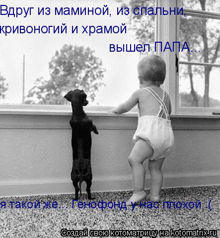 кривоногий и храмой вышел ПАПА... Вдруг из маминой, из спальни, я такой же... Генофонд у нас плохой... Котоматрица: кривоногий и храмой вышел ПАПА... Вдруг из маминой, из спальни, я такой же... Генофонд у нас плохой :(