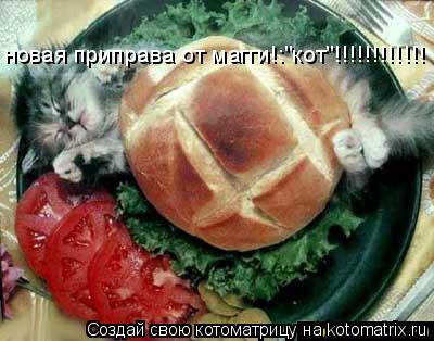 новая приправа от магги!:"кот"!!!!!!!!!!!!... Котоматрица: новая приправа от магги!:"кот"!!!!!!!!!!!!
