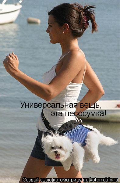 Универсальная вещь, эта пёсосумка!... Котоматрица: Универсальная вещь, эта пёсосумка!