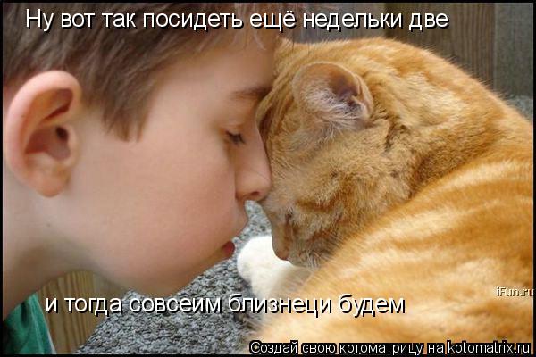 Ну вот так посидеть ещё недельки две и тогда совсеим близнеци будем... Котоматрица: Ну вот так посидеть ещё недельки две и тогда совсеим близнеци будем