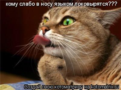 Котоматрица: кому слабо в носу языком поковырятся???