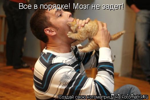 Котоматрица: Все в порядке! Мозг не задет!