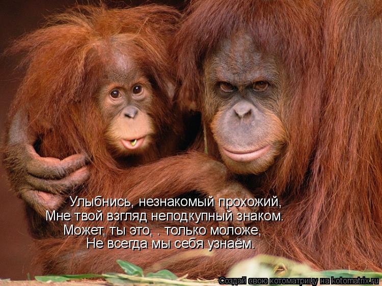 Улыбнись, незнакомый прохожий, Мне твой взгляд неподкупный знаком… Может, ты это, — только моложе,... Котоматрица: Улыбнись, незнакомый прохожий, Мне твой взгляд неподкупный знаком… Может, ты это, — только моложе, Не всегда мы себя узнаём…