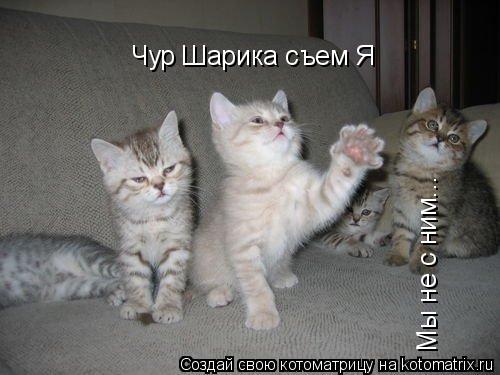 Чур Шарика съем Я Мы не с ним...... Котоматрица: Чур Шарика съем Я Мы не с ним...