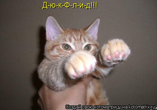 Д-ю-к-Ф-л-и-д!!!... Котоматрица: Д-ю-к-Ф-л-и-д!!!