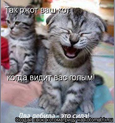 Так ржот ваш кот, когда видит вас голым!... Котоматрица: Так ржот ваш кот, когда видит вас голым!