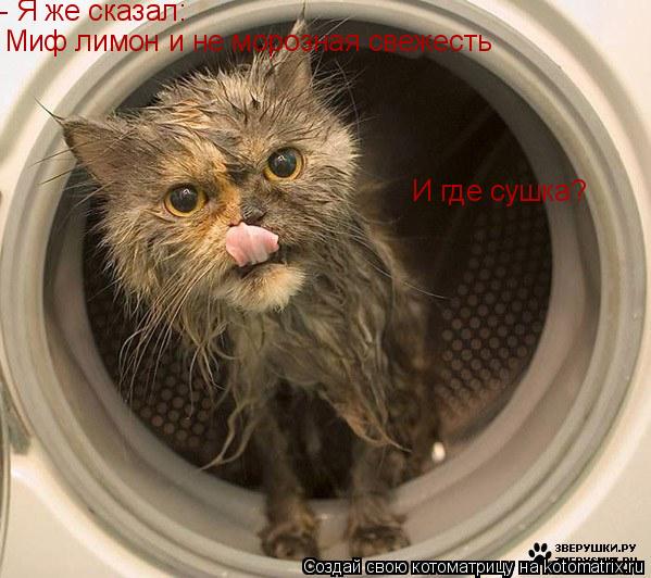 - Я же сказал: Миф лимон и не морозная свежесть И где сушка?... Котоматрица: - Я же сказал: Миф лимон и не морозная свежесть И где сушка?