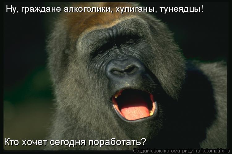 Ну, граждане алкоголики, хулиганы, тунеядцы! Кто хочет сегодня поработать?... Котоматрица: Ну, граждане алкоголики, хулиганы, тунеядцы! Кто хочет сегодня поработать?