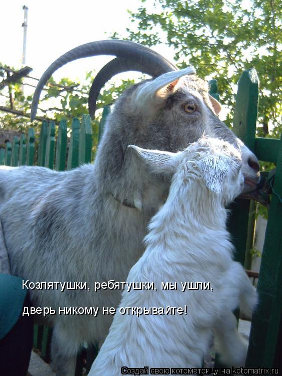 Козлятушки, ребятушки, мы ушли, дверь никому не открывайте!... Котоматрица: Козлятушки, ребятушки, мы ушли, дверь никому не открывайте!