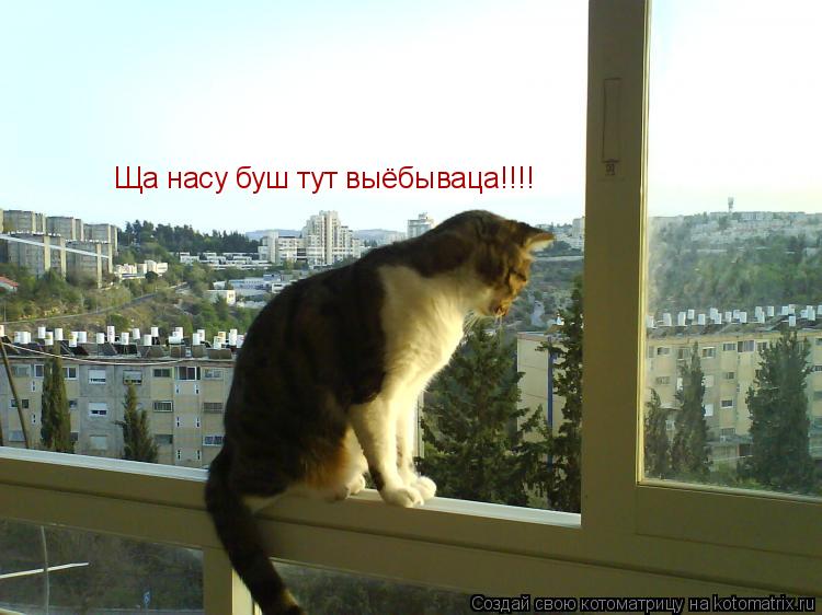 Котоматрица: Ща насу буш тут выёбываца!!!!