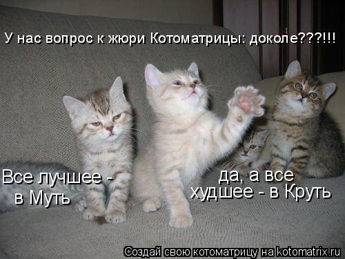 Все лучшее - да, а все худшее - в Круть в Муть У нас вопрос к жюри Котоматрицы: доколе???!!!... Котоматрица: Все лучшее - да, а все худшее - в Круть в Муть У нас вопрос к жюри Котоматрицы: доколе???!!!