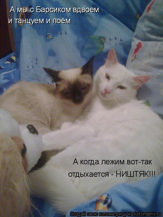 Котоматрица: А мы с Барсиком вдвоем и танцуем и поём А когда лежим вот-так отдыхается - НИШТЯК!!!