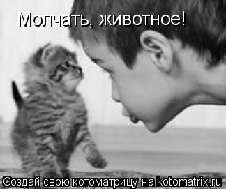Молчать, животное!... Котоматрица: Молчать, животное!