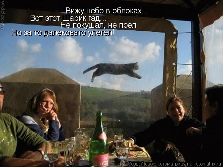 Котоматрица: Вижу небо в облоках... Вот этот Шарик гад... Не покушал, не поел Но за то далековато улетел!