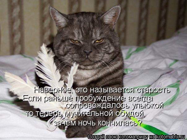 Наверное, это называется старость Если раньше пробуждение всегда сопровождалось улыбкой то теперь му... Котоматрица: Наверное, это называется старость Если раньше пробуждение всегда сопровождалось улыбкой то теперь мучительной обидой, «зачем ночь кончил